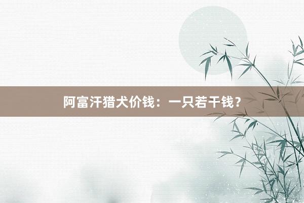 阿富汗猎犬价钱：一只若干钱？