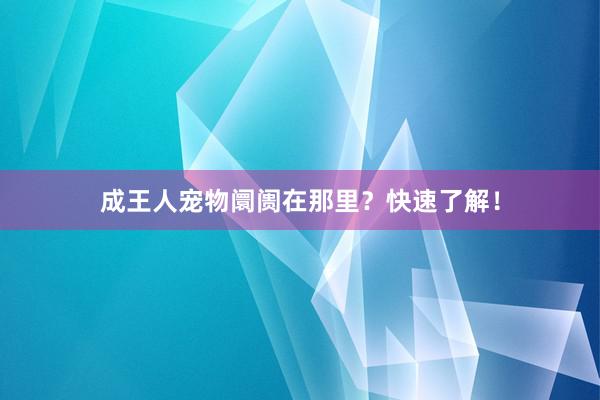 成王人宠物阛阓在那里？快速了解！