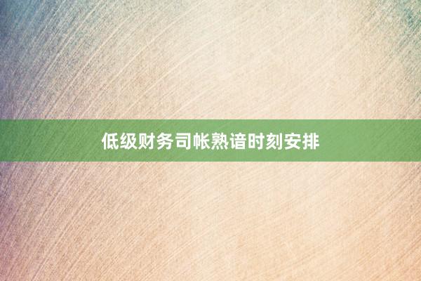 低级财务司帐熟谙时刻安排